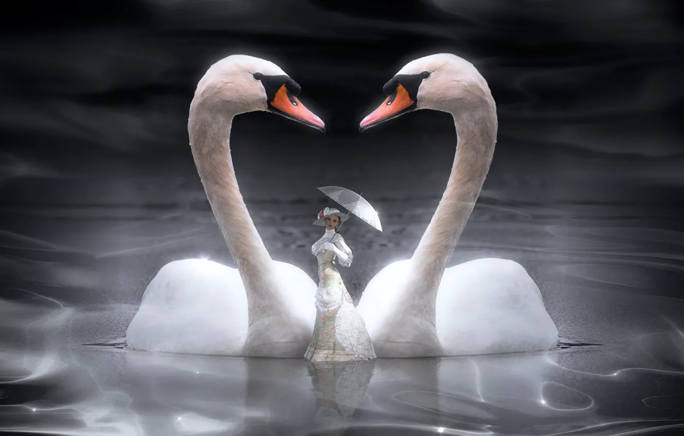 Photo wallpaper girl, bird, umbrella, pair, swans, in white, lady, lady