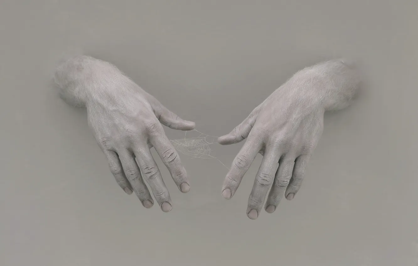 Photo wallpaper background, web, hands