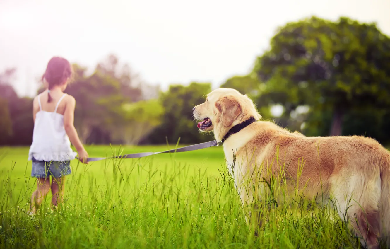 Photo wallpaper sadness, grass, trees, children, childhood, dog, grass, trees