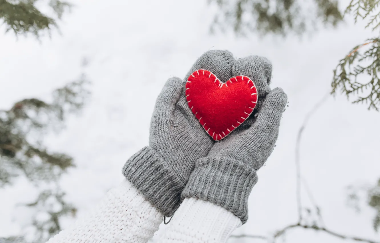 Photo wallpaper winter, snow, love, heart, tree, red, love, heart