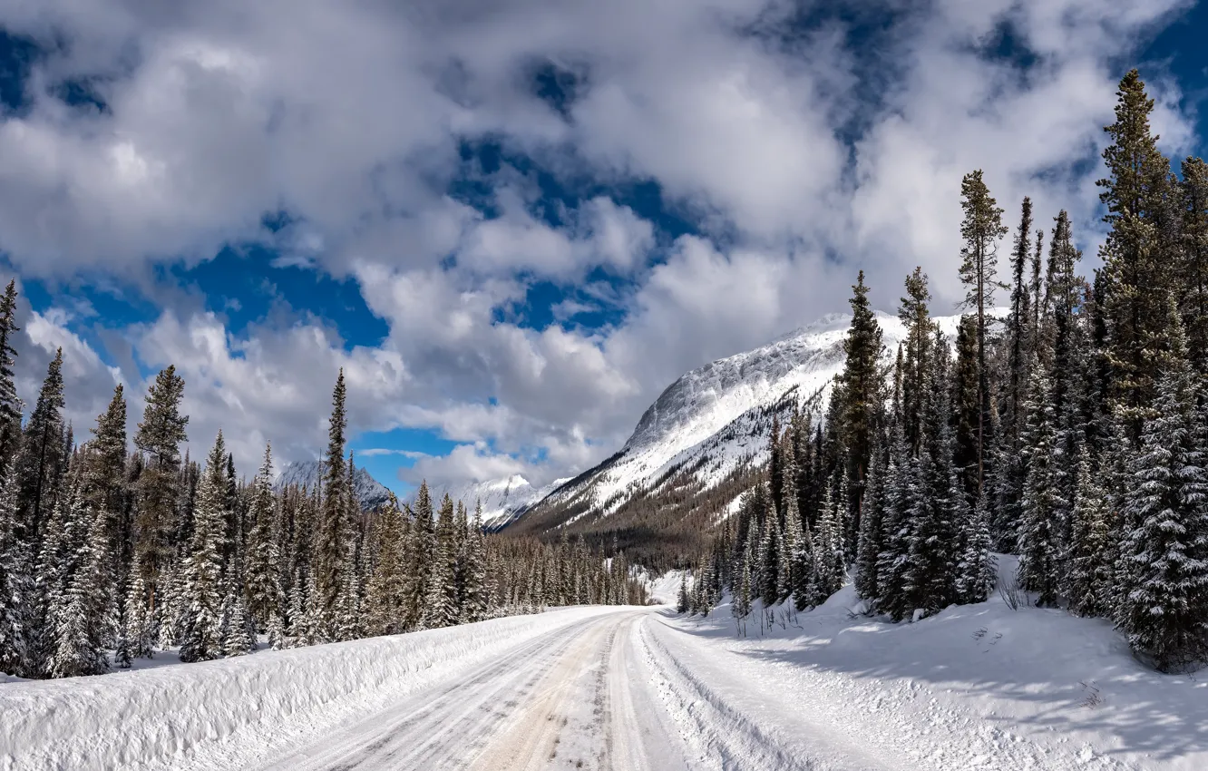 Photo wallpaper winter, road, forest, snow, ate