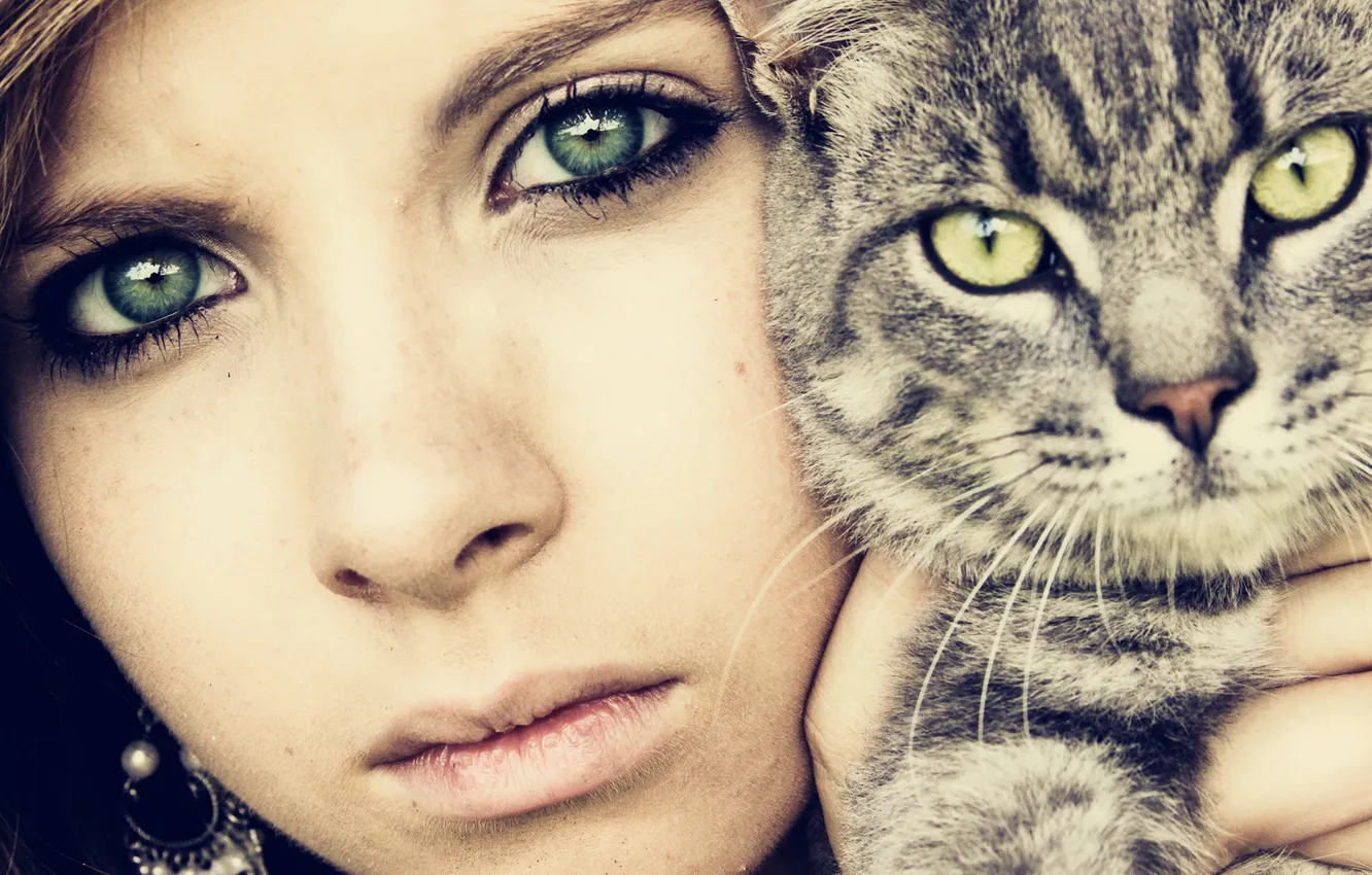 Photo wallpaper cat, eyes, look, girl, face