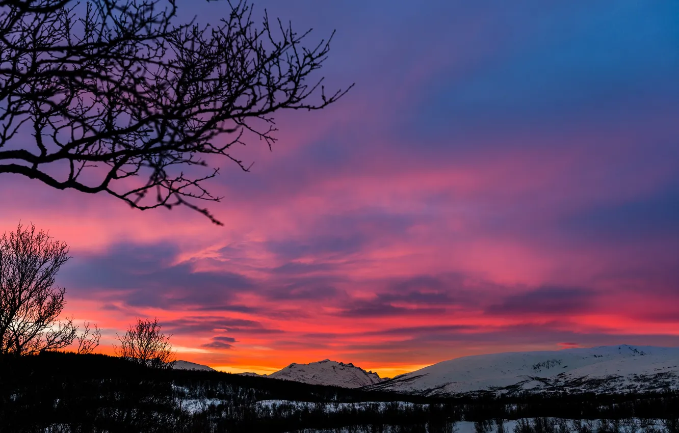 Photo wallpaper winter, the sky, clouds, snow, trees, sunset, mountains, silhouette