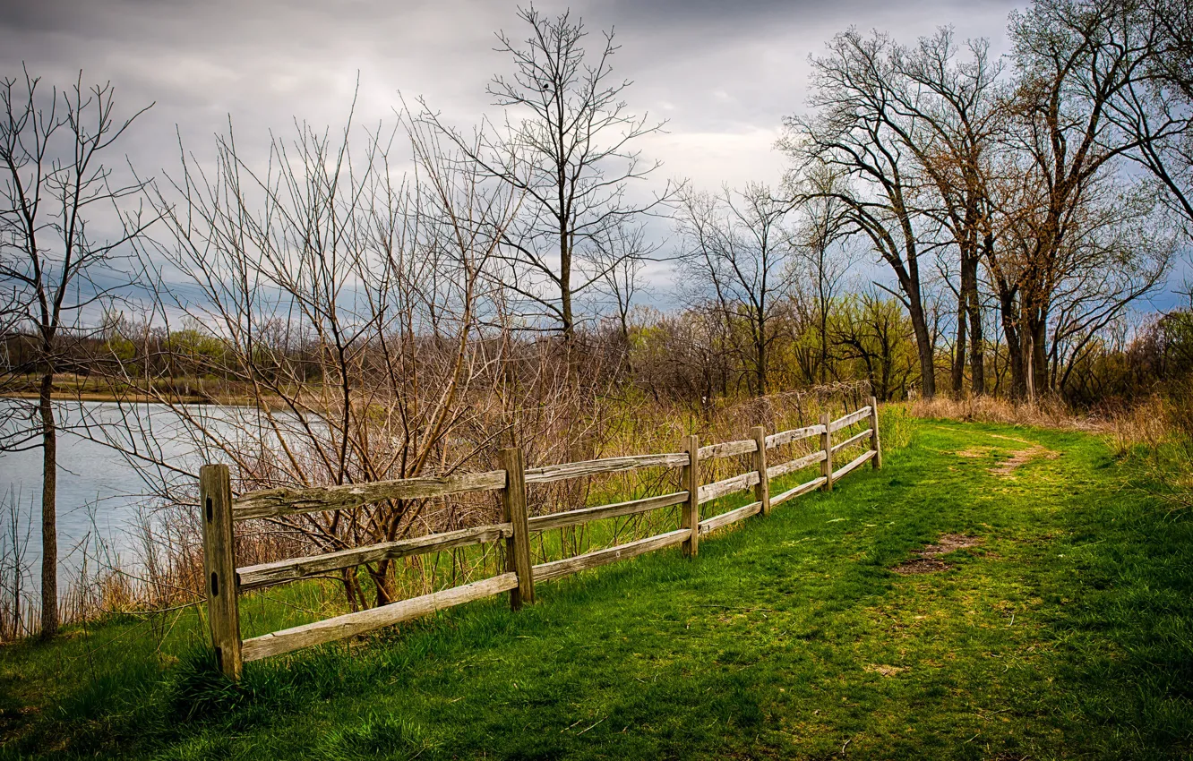 Photo wallpaper the sky, trees, nature