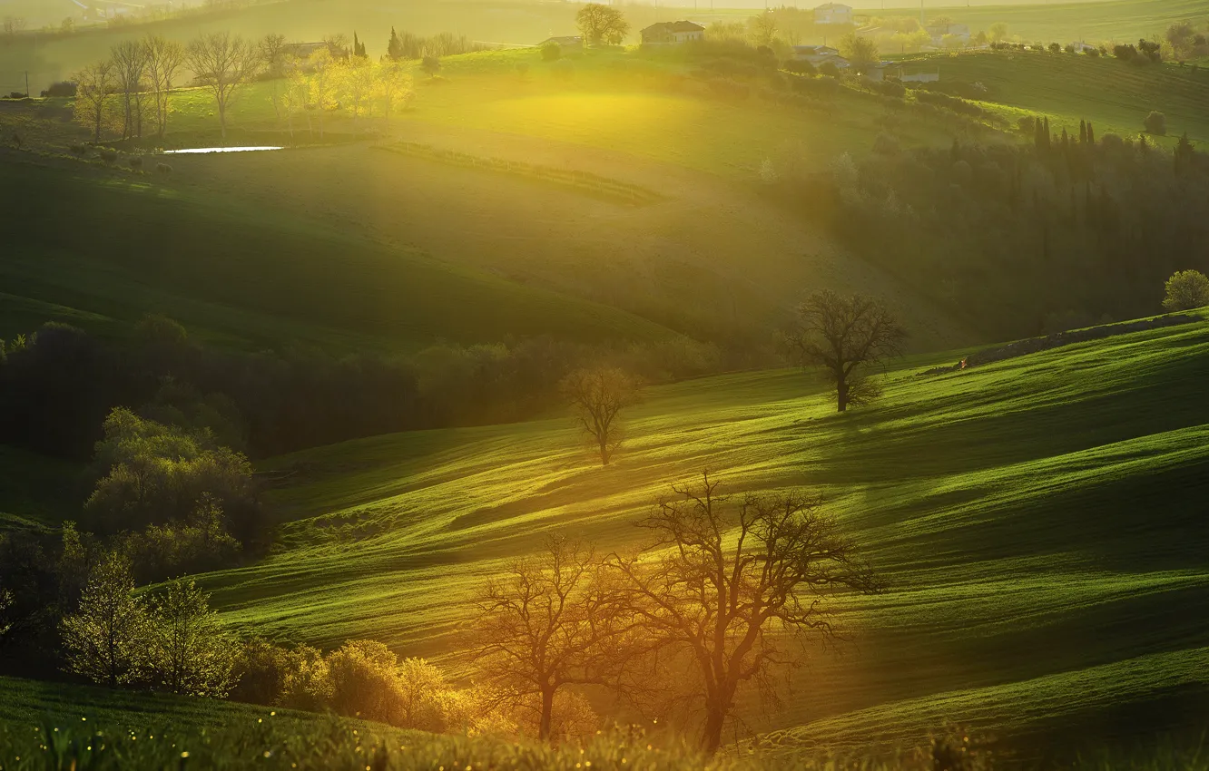 Photo wallpaper trees, hills, field, home, Alba, morning, Italy