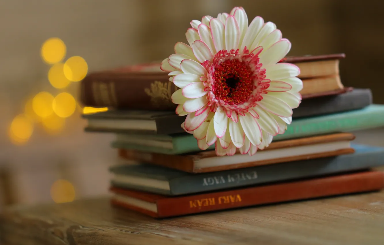 Photo wallpaper flowers, book, stack
