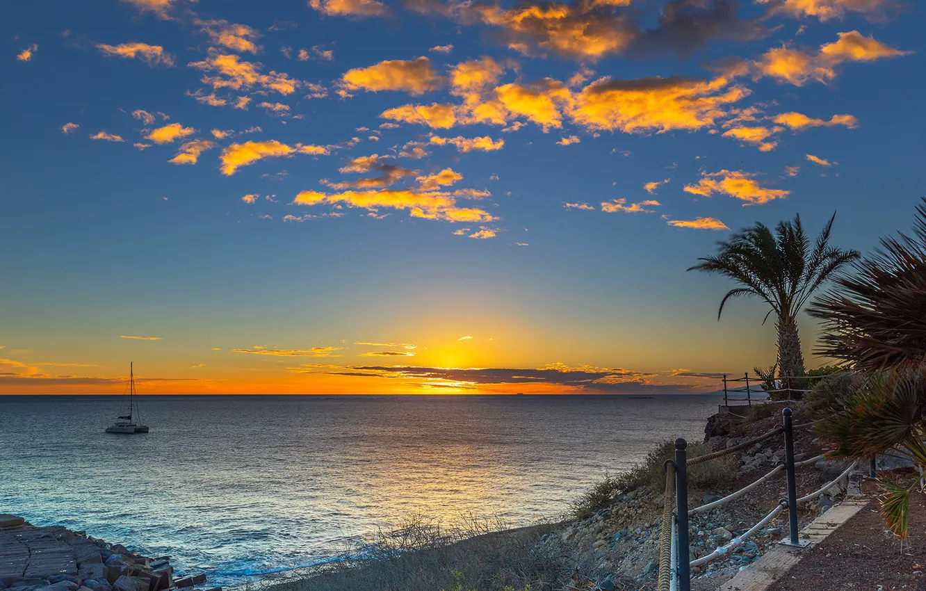 Photo wallpaper sea, beach, the sky, sunset, stones, palm trees, coast, yacht