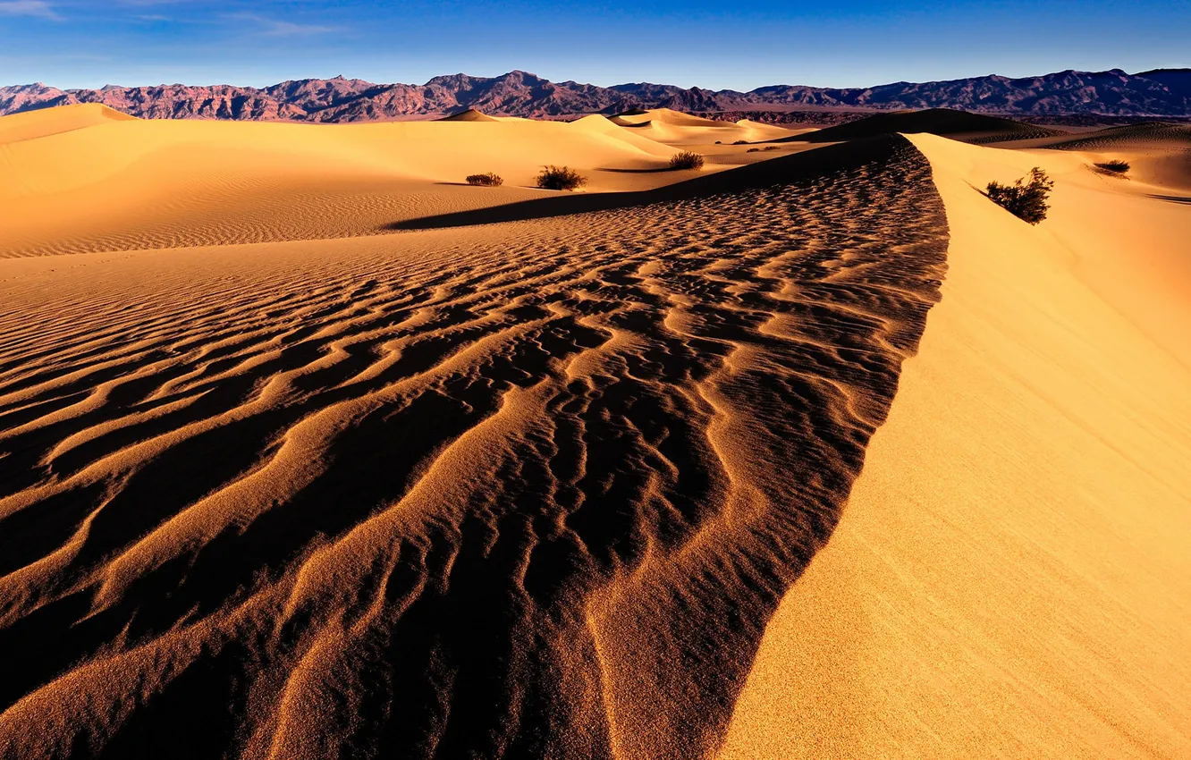 Photo wallpaper light, desert, dunes, shadows, Sands, relief