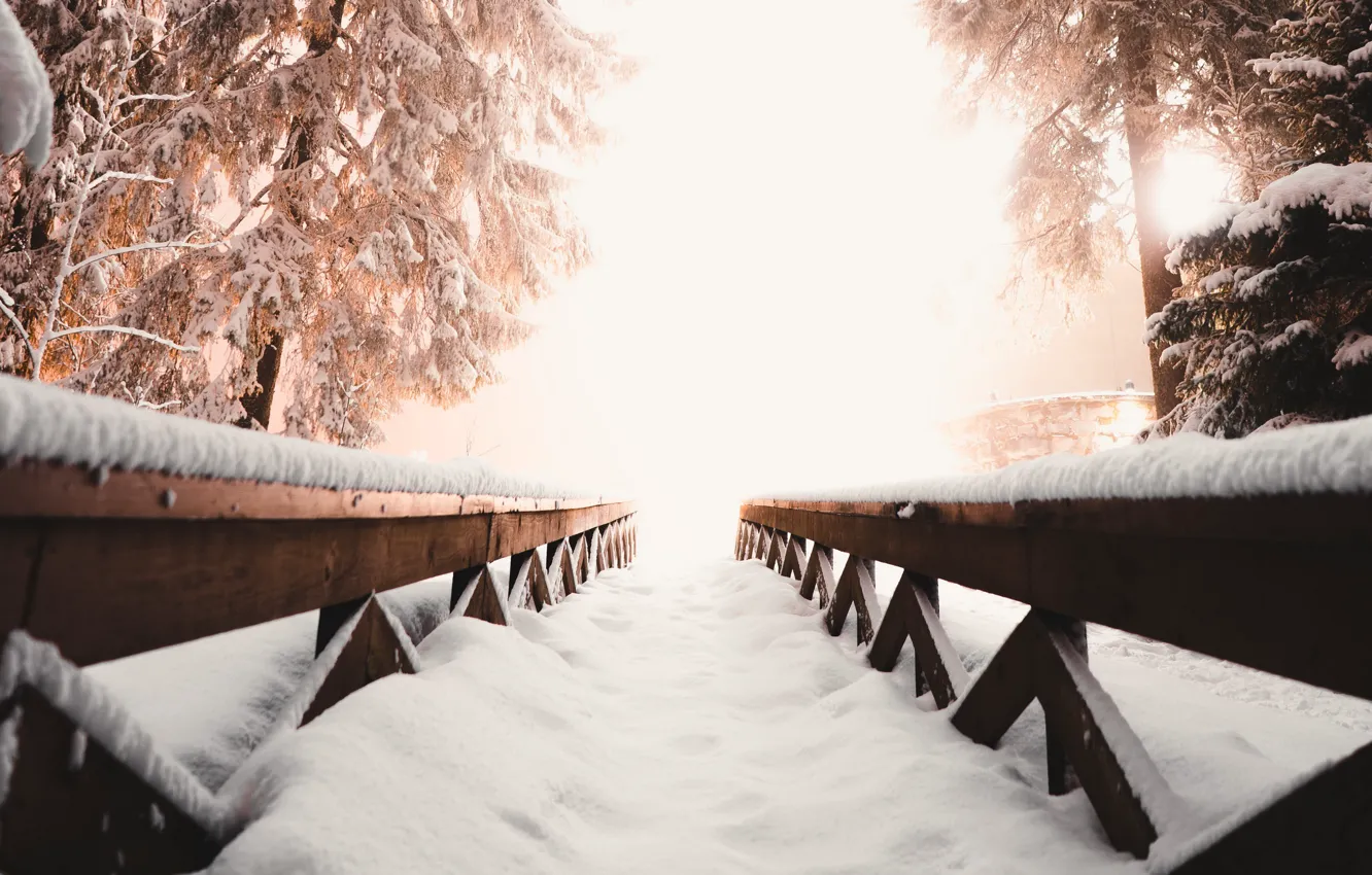 Photo wallpaper winter, light, snow, bridge, fog, morning