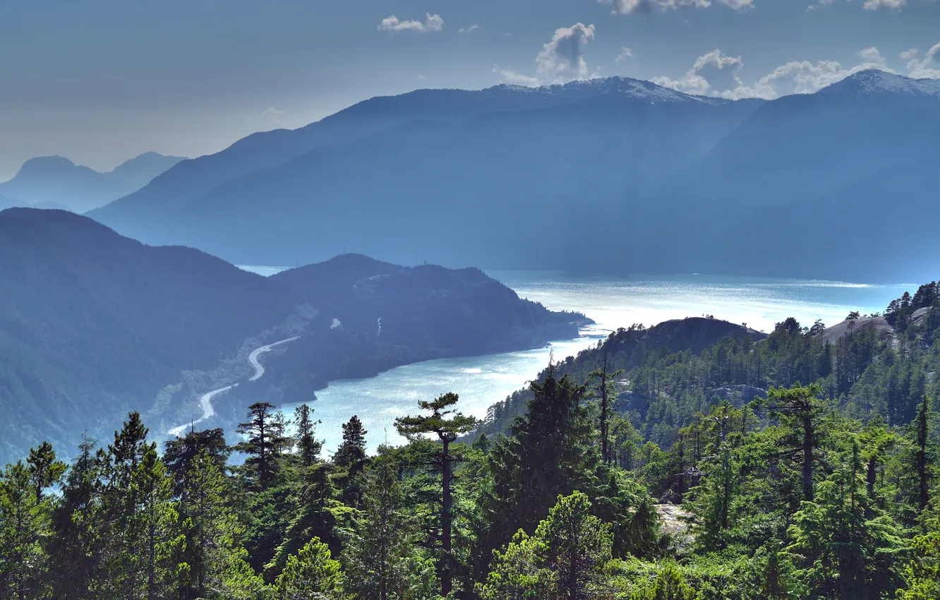 Photo wallpaper sea, greens, forest, the sky, water, clouds, trees, landscape