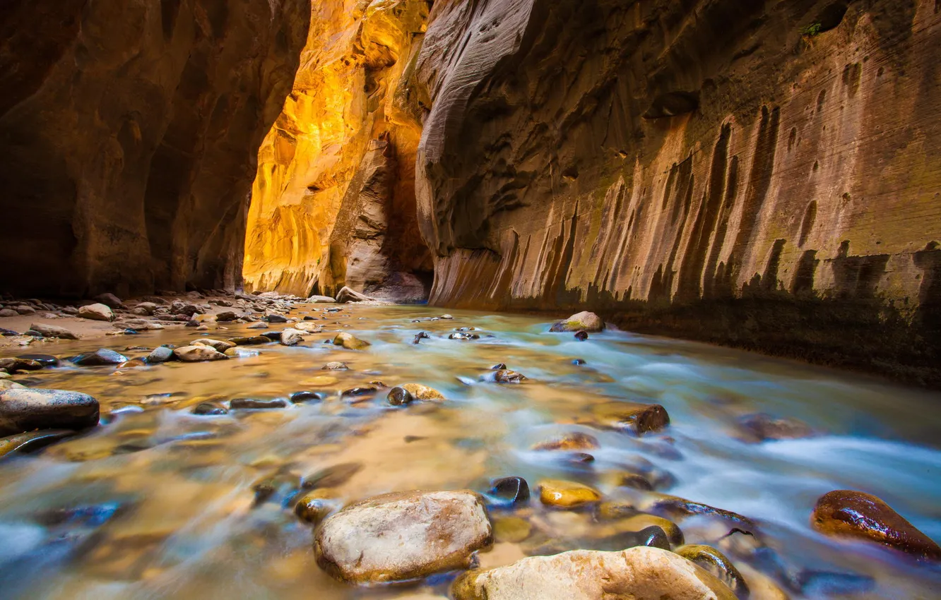 Photo wallpaper river, stones, rocks, gorge, USA, Zion National Park, Utah, Zion national Park