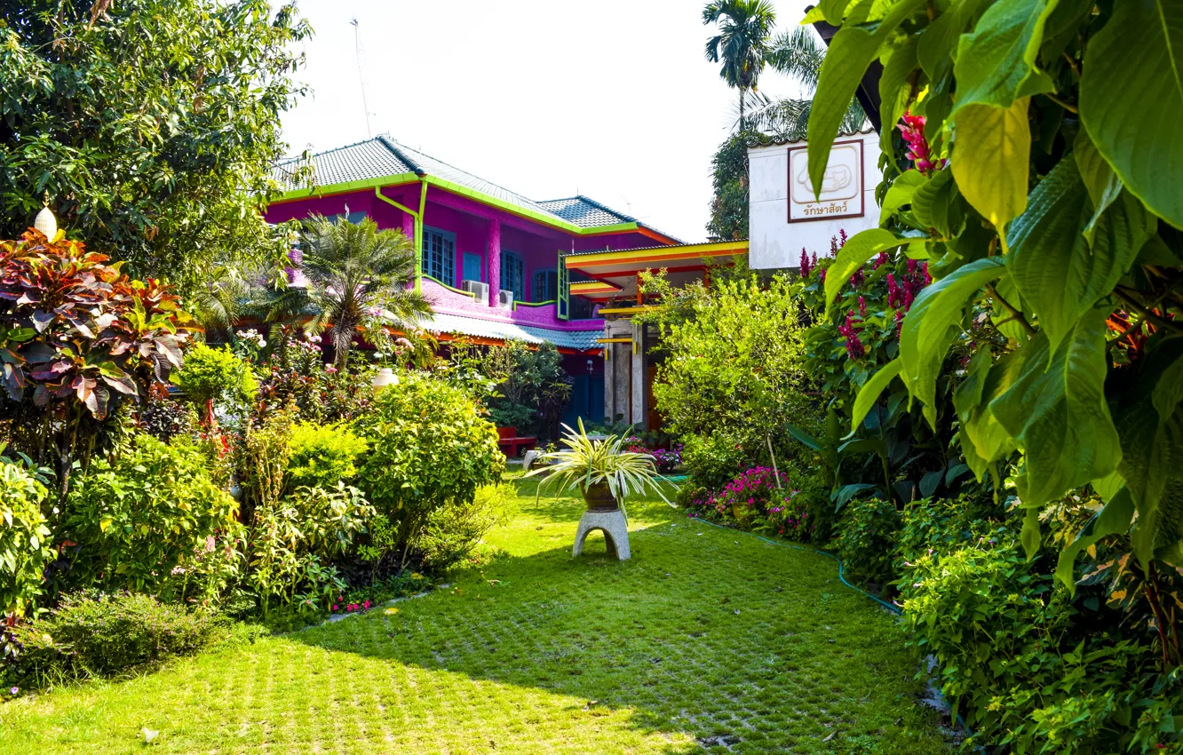 Photo wallpaper Thailand, Chiang Mai, ManNing