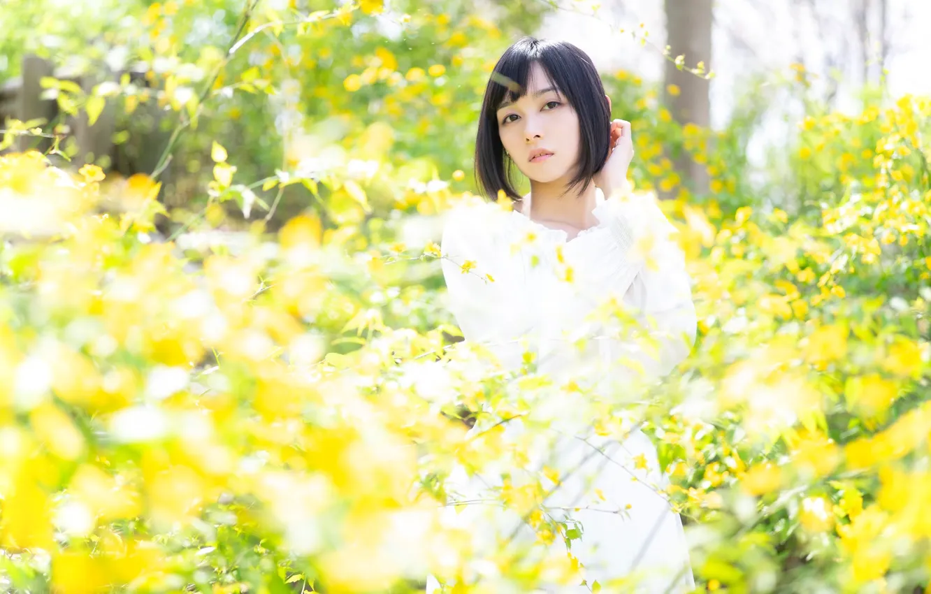 Photo wallpaper leaves, girl, light, flowers, branches, yellow, mood, foliage