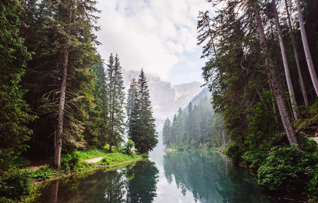 Photo wallpaper forest, water, clouds, trees, mountains, reflection, river, rocks