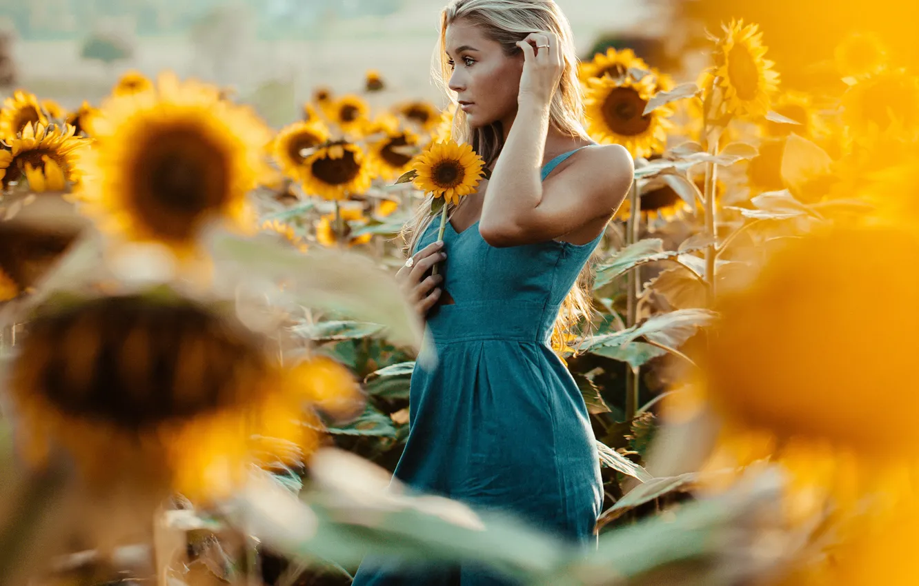 Photo wallpaper summer, look, girl, light, sunflowers, flowers, yellow, pose