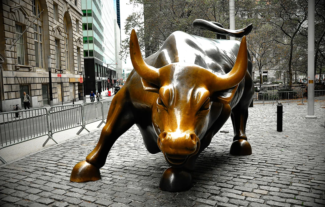 Photo wallpaper New York, Manhattan, USA, "The charging bull", Arif Mahmood Photography, Wall Street, 3200 killogramovy bronze …