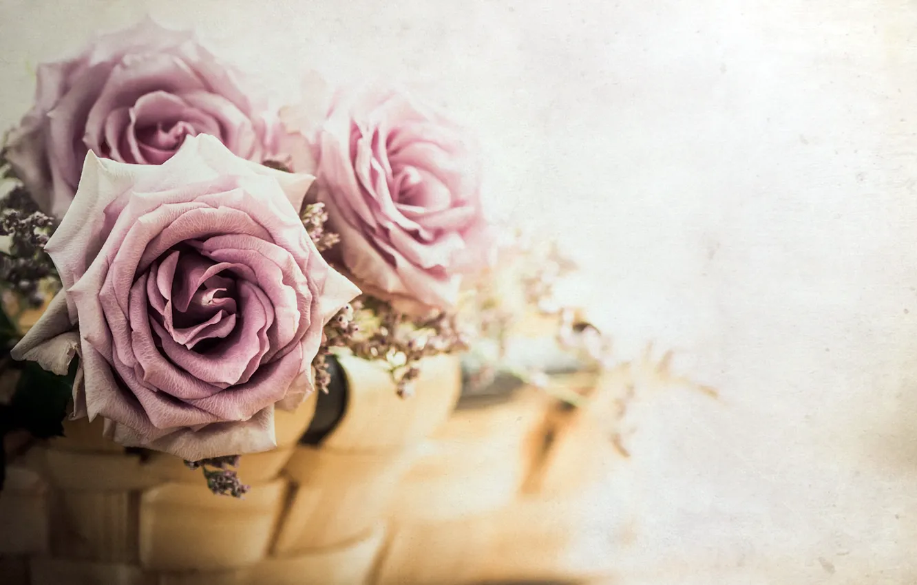 Photo wallpaper flowers, background, roses