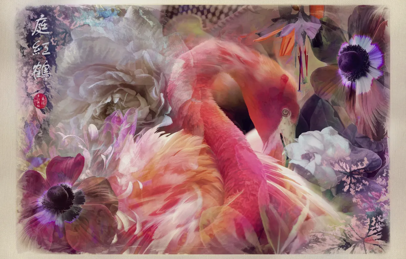 Photo wallpaper flowers, collage, art, Flamingo, anemones, fuchsia