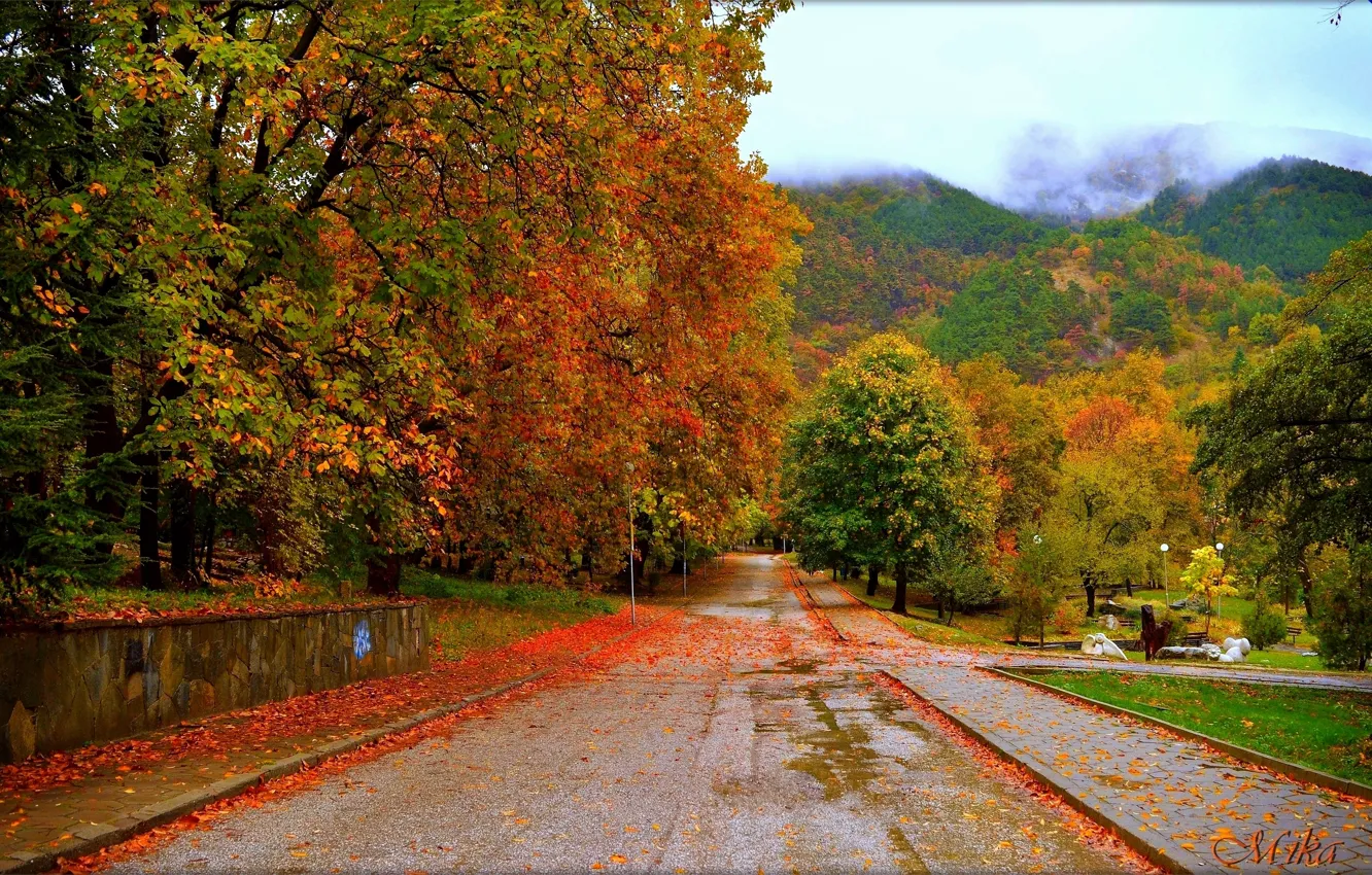 Photo wallpaper Road, Autumn, Trees, Fall, Autumn, Colors, Road, Trees