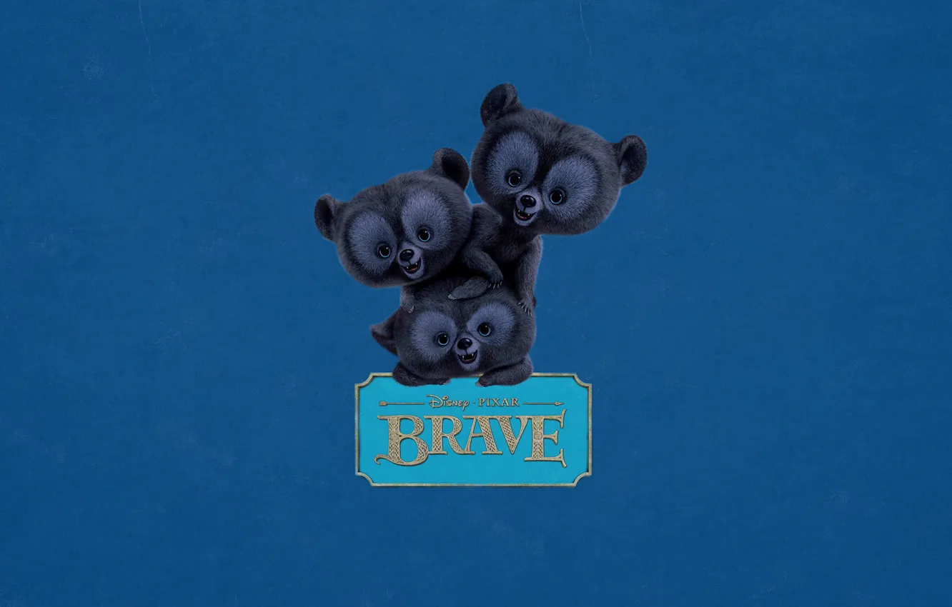 Photo wallpaper the inscription, plate, three, bear, three, blue background, Brave heart, Brave