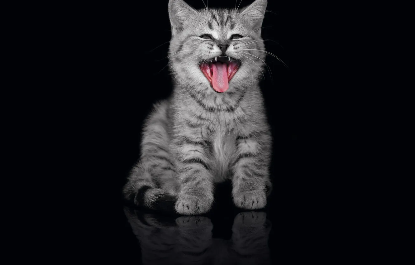 Photo wallpaper language, strips, mouth