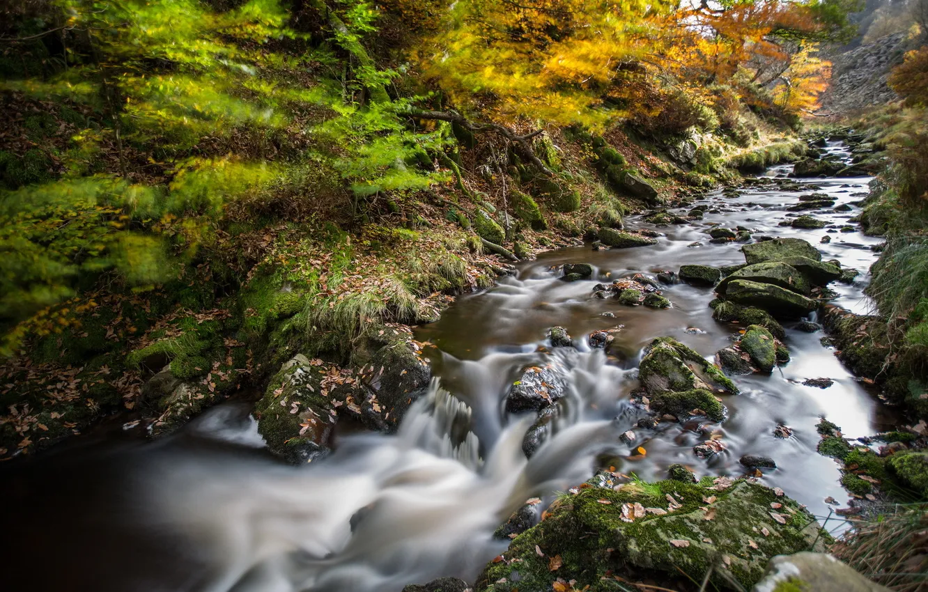Photo wallpaper nature, river, stones