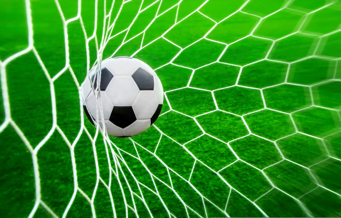 Photo wallpaper grass, mesh, lawn, football, the ball, goal