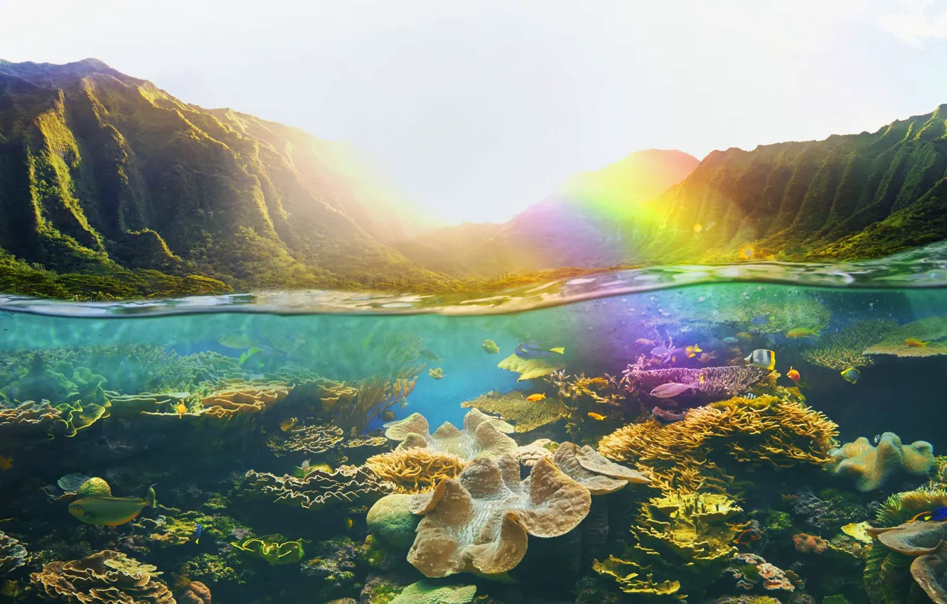 Photo wallpaper tropics, Hawaii, USA, coral reefs