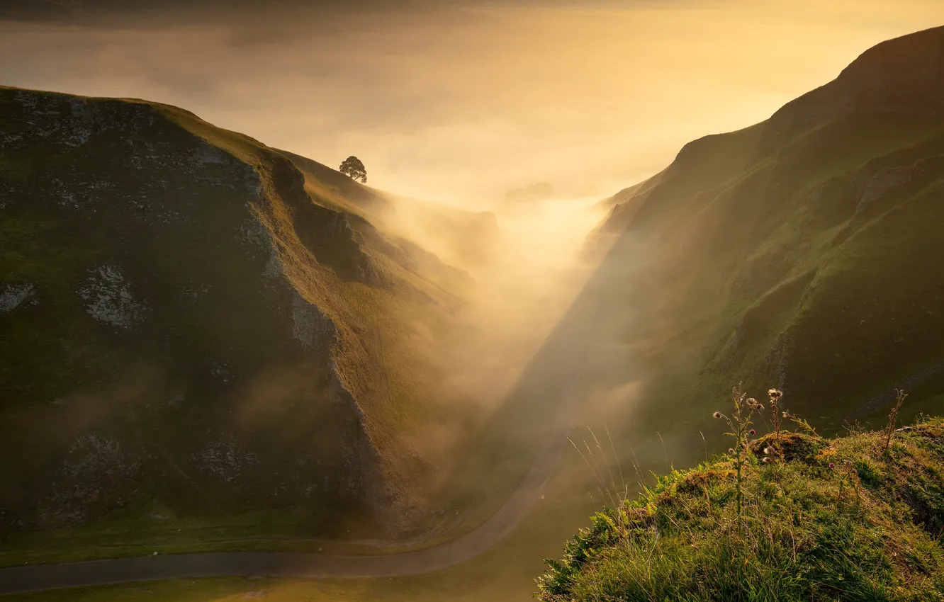 Photo wallpaper road, the sky, light, trees, mountains, fog, rocks, hills