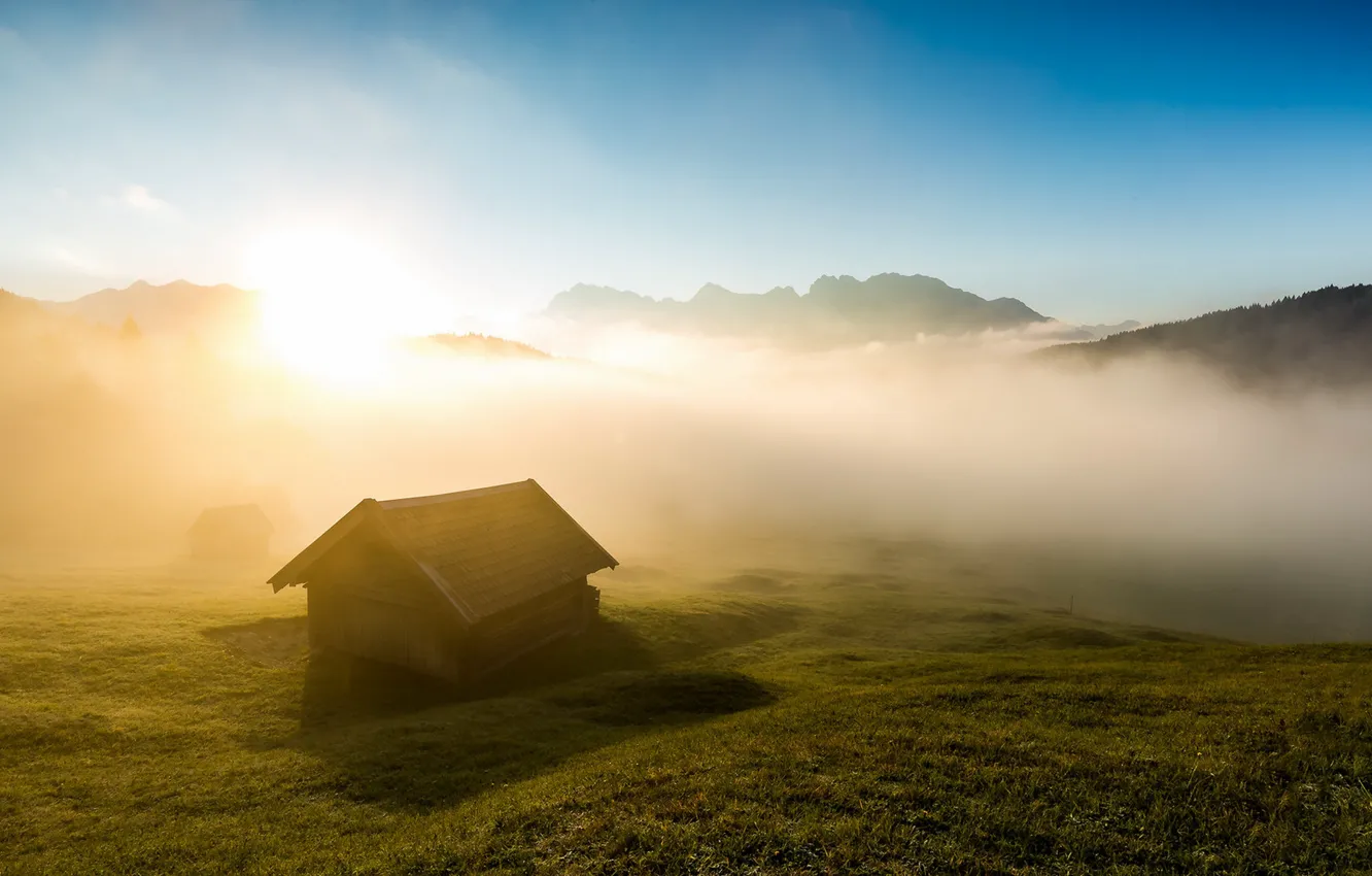 Photo wallpaper fog, home, morning