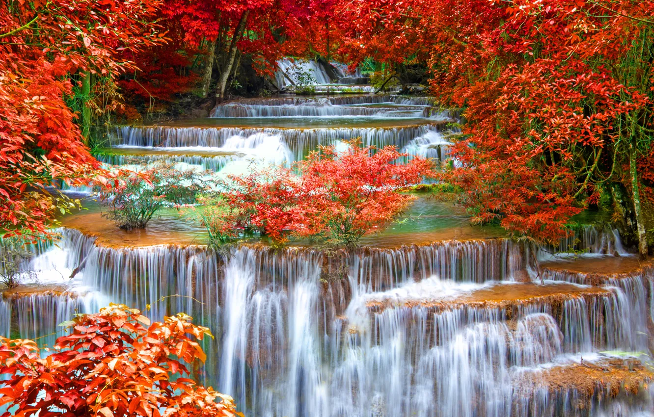 Photo wallpaper autumn, forest, landscape, waterfall, nature, water, autumn, waterfall