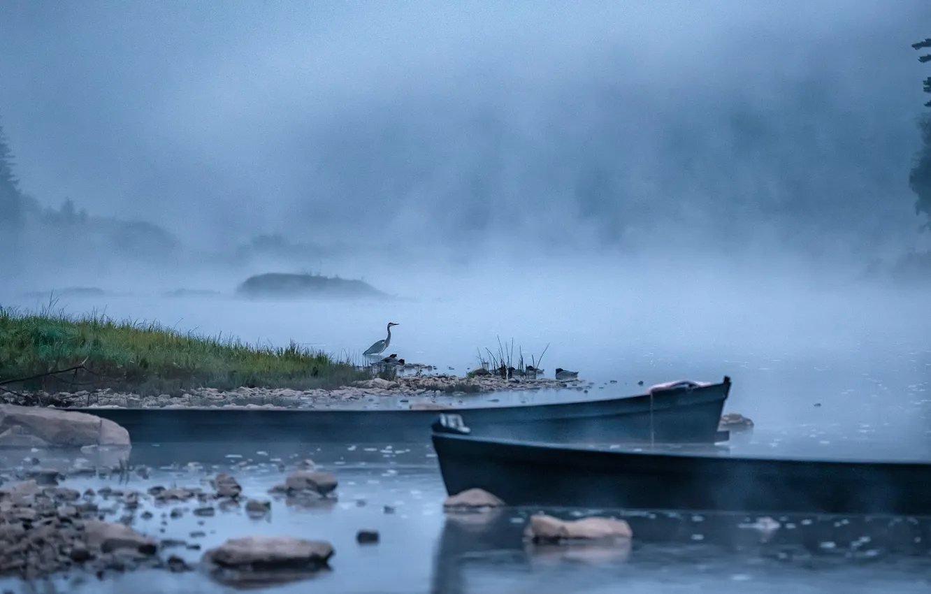 Photo wallpaper landscape, nature, fog, river, dawn, bird, morning, Heron