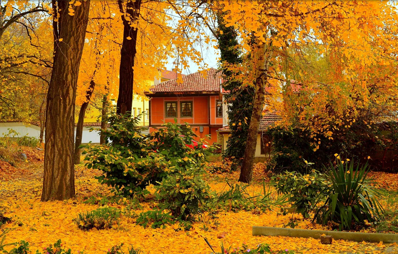 Photo wallpaper Autumn, Trees, House, House, Fall, Foliage, Autumn, Trees