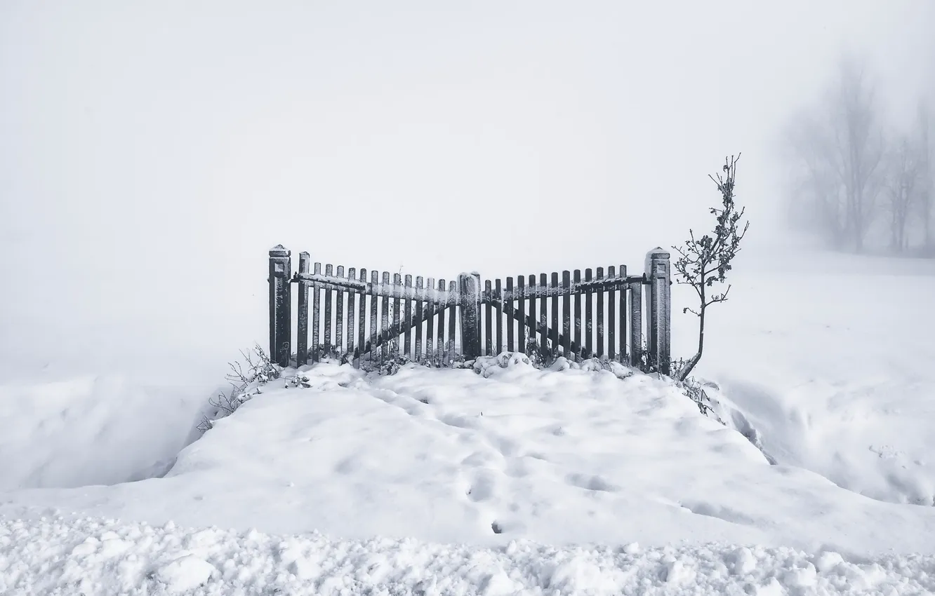 Photo wallpaper winter, snow, fog, gate