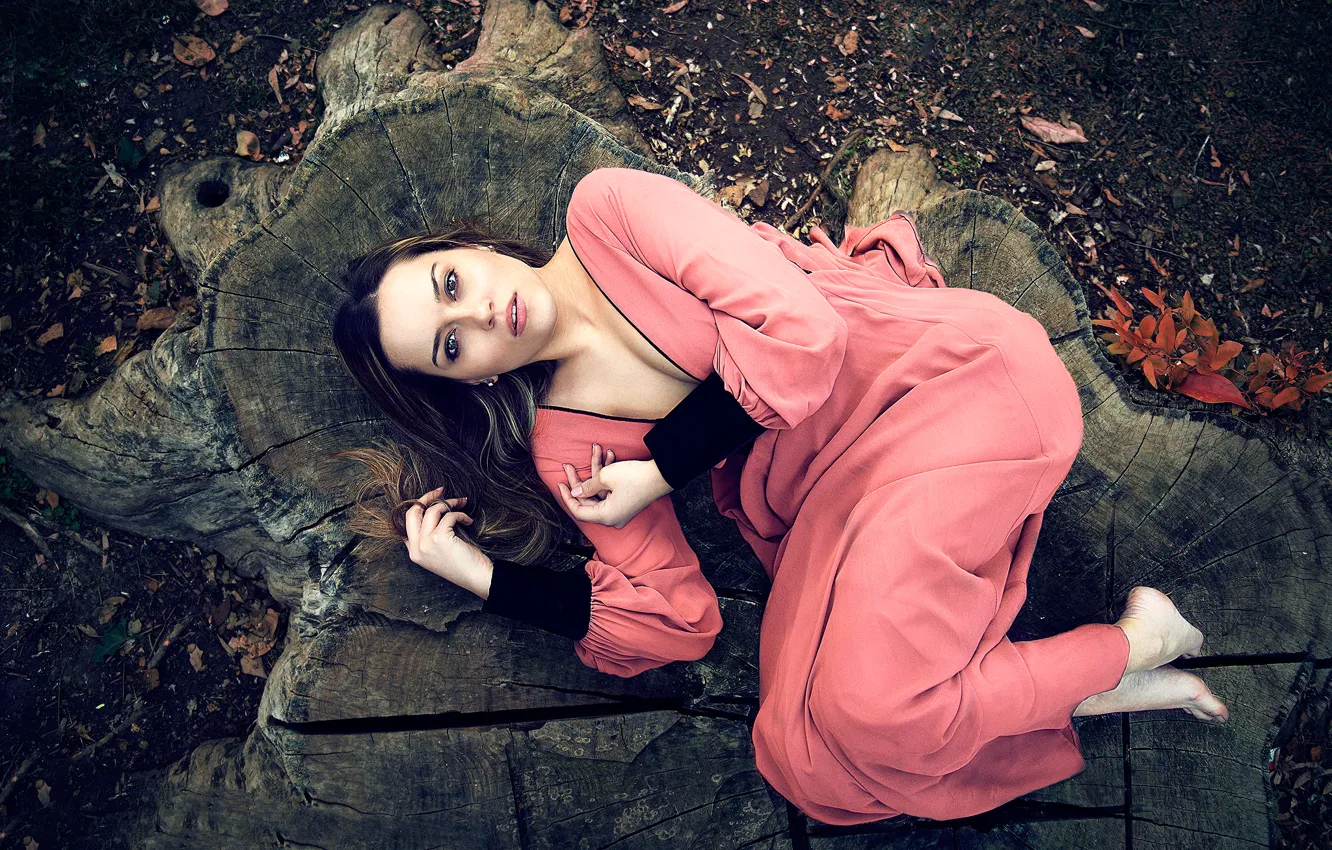 Photo wallpaper look, girl, stay, stump, dress