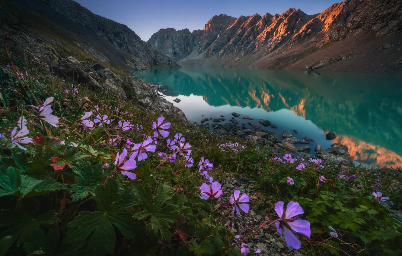 Photo wallpaper the sky, flowers, mountains, lake, reflection, rocks