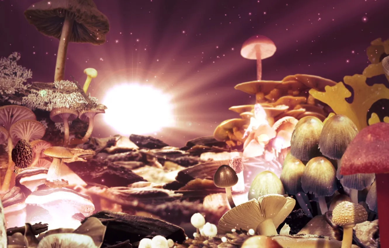 Photo wallpaper landscape, abstraction, style, mushrooms, psychedelic