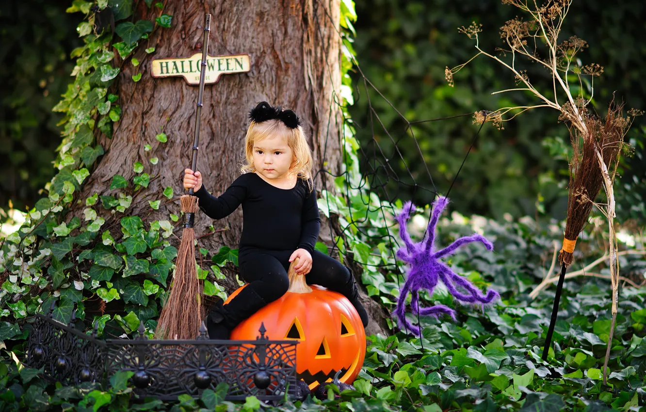 Photo wallpaper children, spider, girl, Halloween, pumpkin, broom, pumpkin