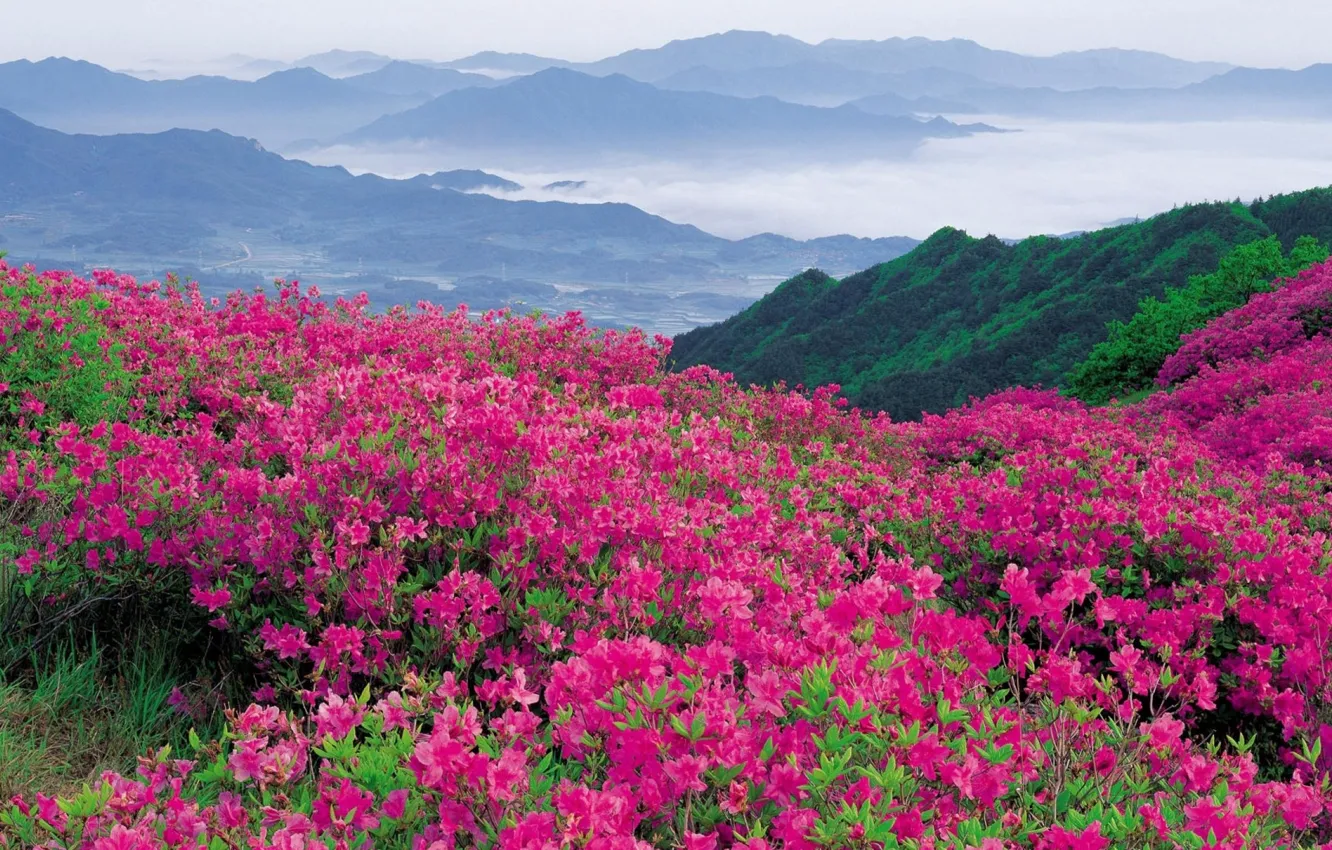 Photo wallpaper freedom, clouds, mountains, nature, beauty, space, space, bright colors