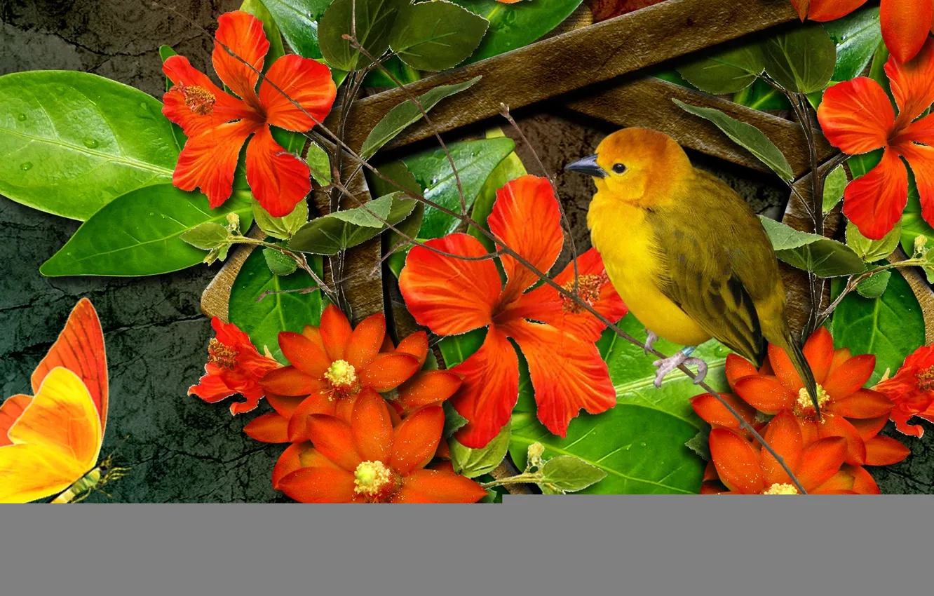 Photo wallpaper flowers, collage, bird, butterfly