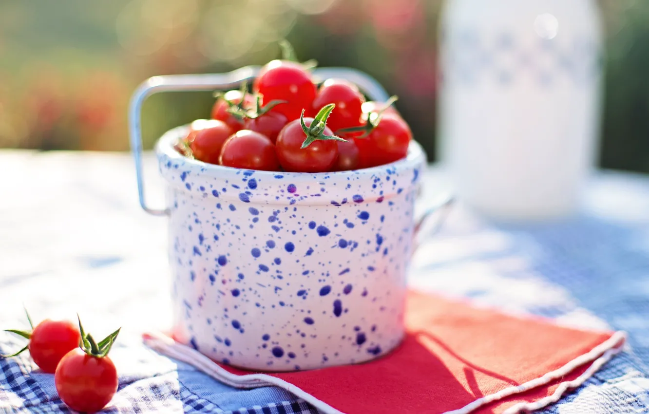 Photo wallpaper tomatoes, tomatoes, bucket, cherry