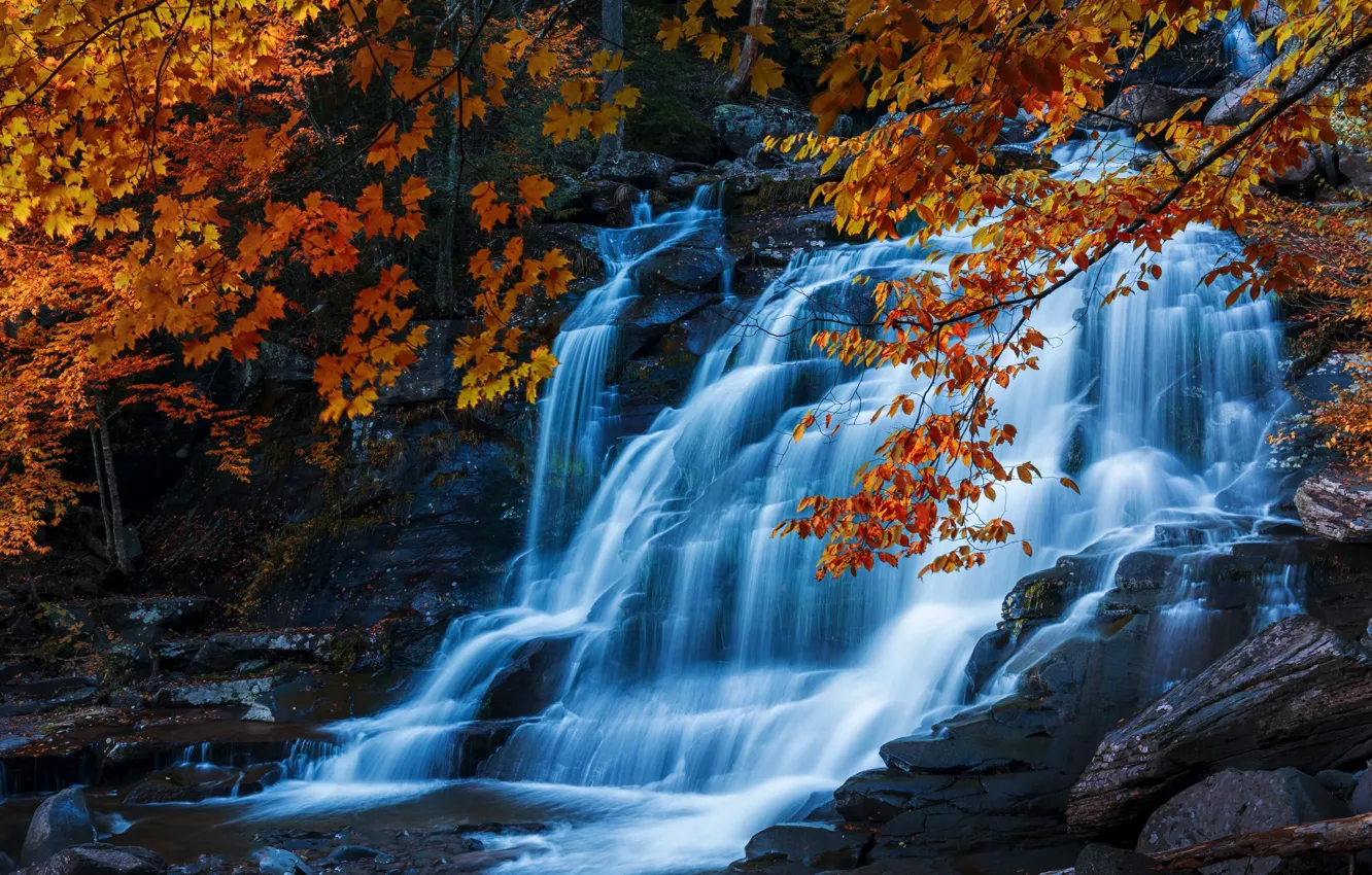 Photo wallpaper autumn, trees, branches, stones, rocks, waterfall, stream, maple