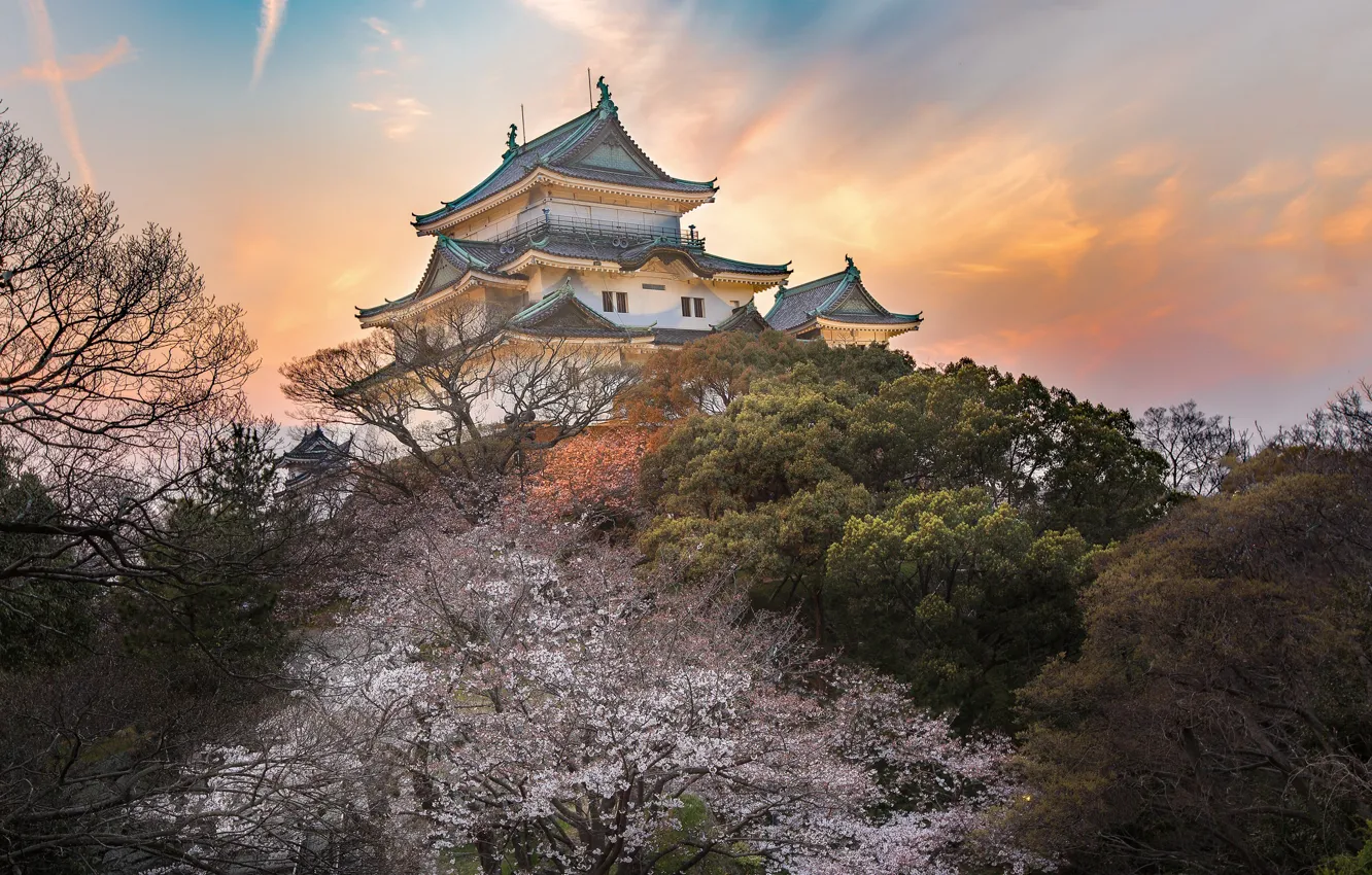 Photo wallpaper castle, spring, Japan, garden, Sakura