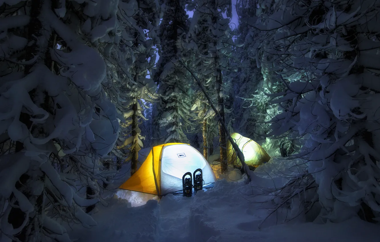 Photo wallpaper winter, forest, light, snow, night, the snow, tent, journey