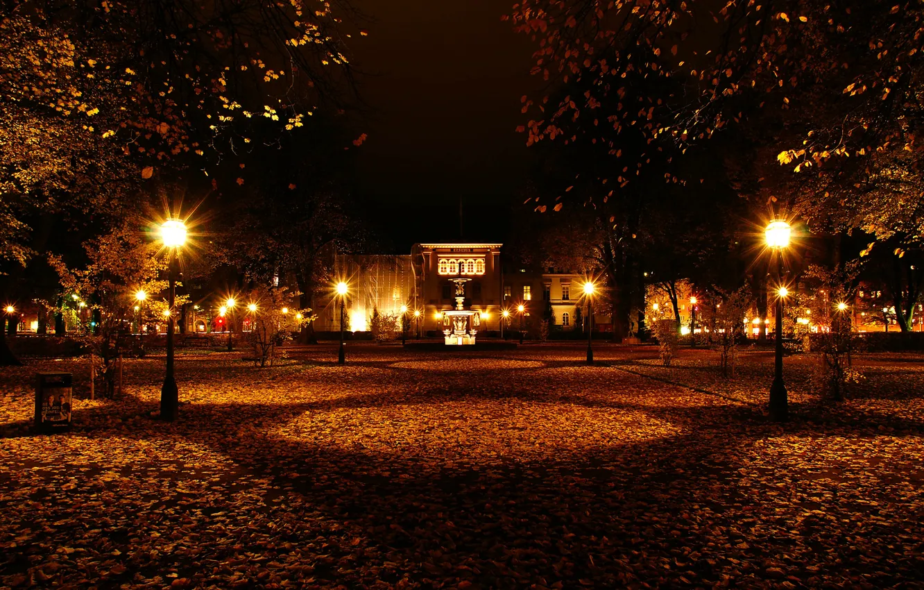 Photo wallpaper autumn, night, Park, foliage, lights, Sweden, Sweden, night