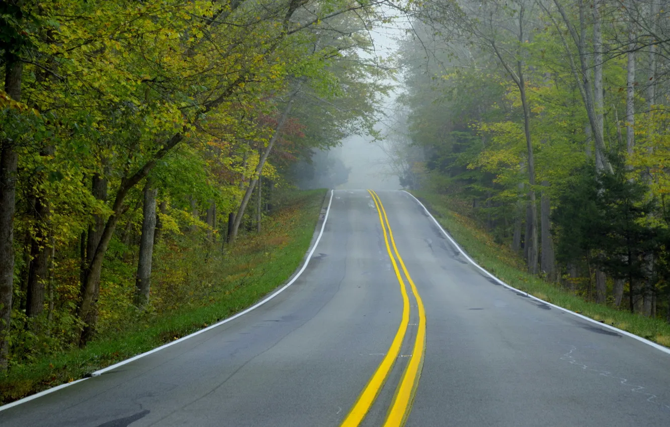 Photo wallpaper road, autumn, landscape