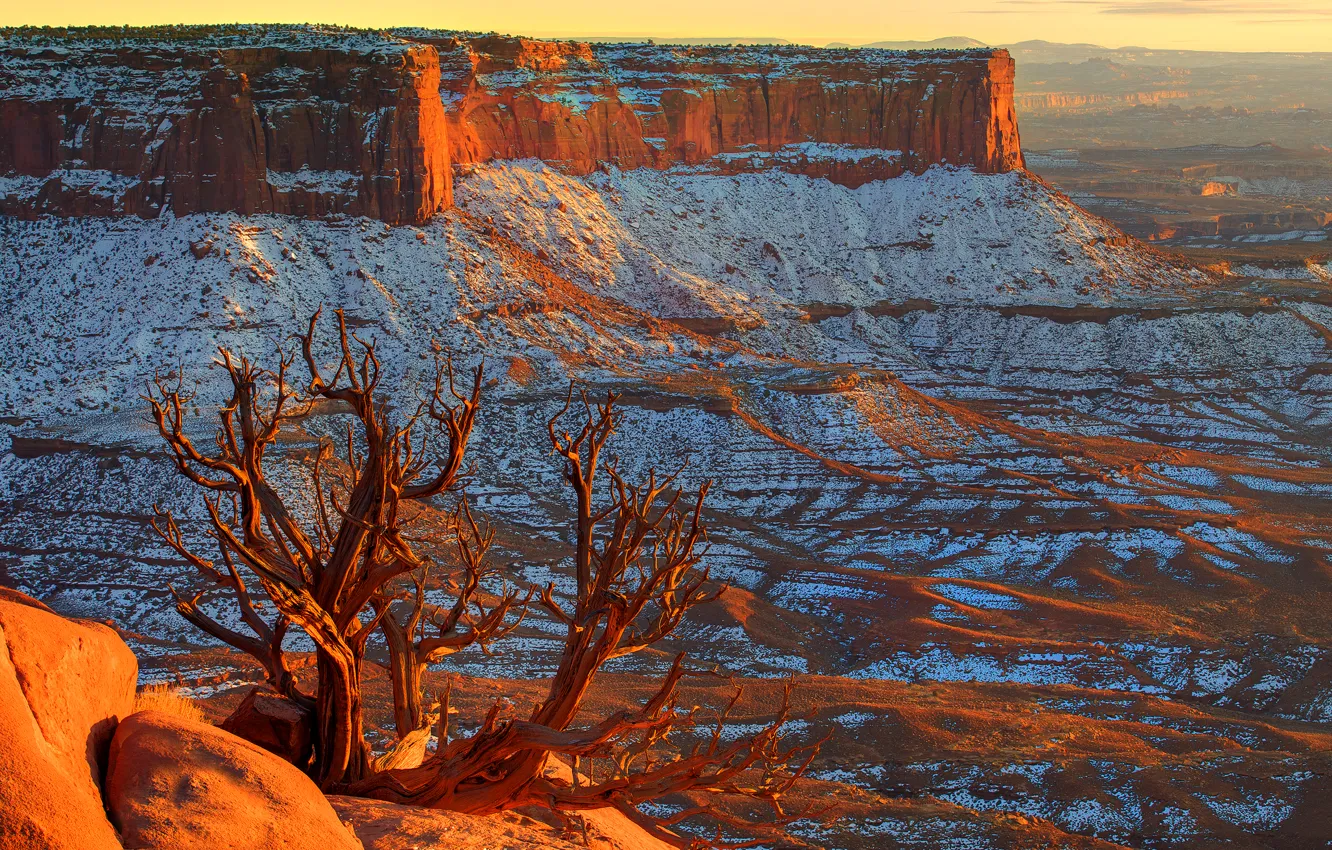 Photo wallpaper the sky, snow, sunset, stones, tree, horizon, canyon, USA