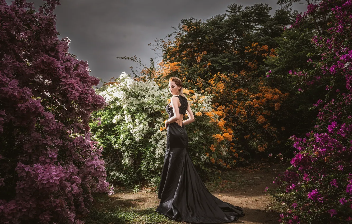 Photo wallpaper girl, style, dress, the bushes, walks