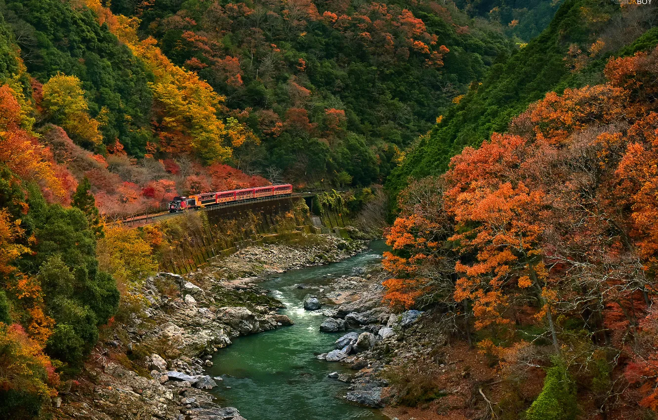 Photo wallpaper road, autumn, forest, trees, mountains, river, train