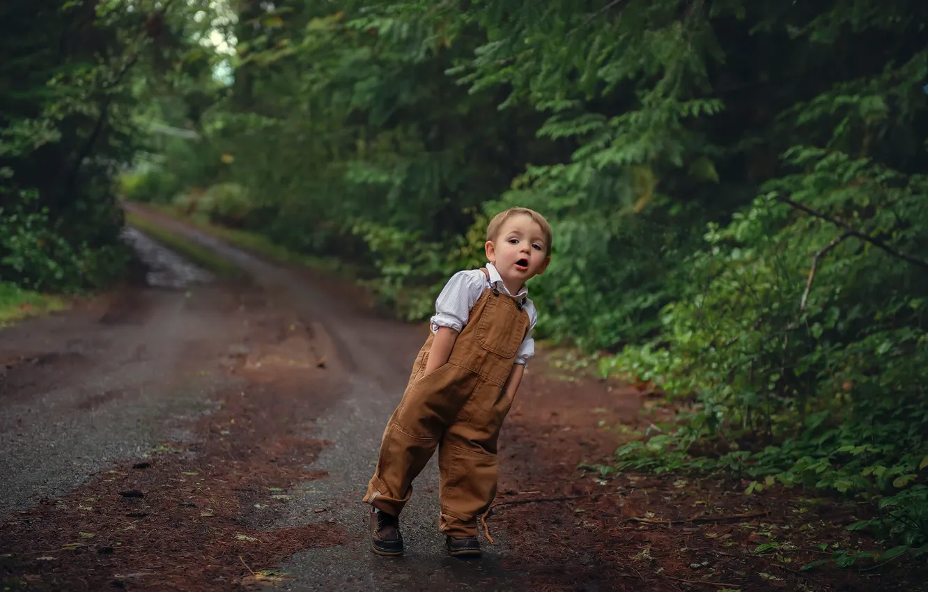 Photo wallpaper road, forest, boy